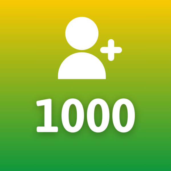 1.000 Seguidores no Instagram brasileiros